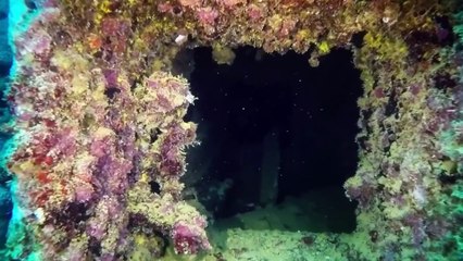 Maldives Island Amazing Place to Dream Vacation