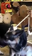 Amazing Piece of Engineering #shorts #viral #shortsvideo #video #innovationhub