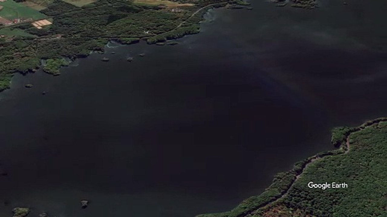 大沼