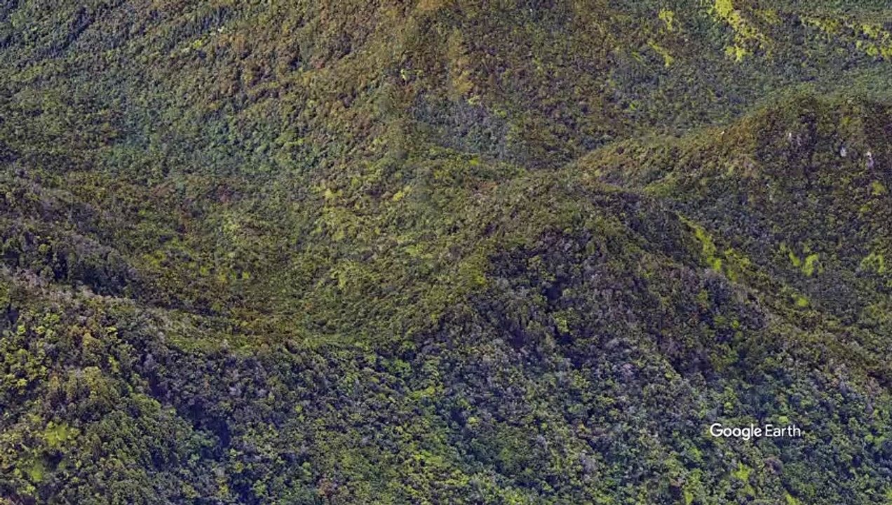 宮島