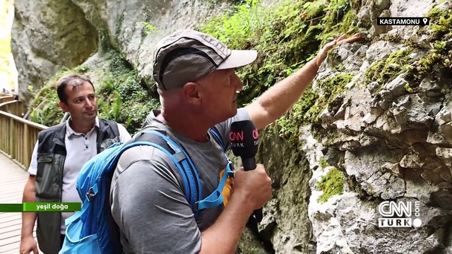 Horma Kanyonu'nun eşsiz doğa güzelliği ve eğrelti otunun hikayesi Yeşil Doğa'da ekrana geldi