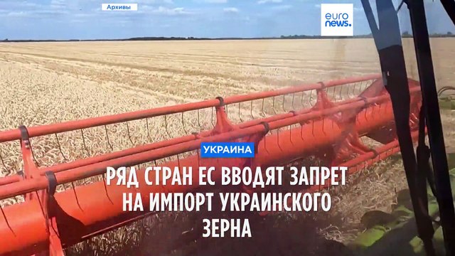 Ряд стран ЕС вводят запрет на ввоз украинского зерна