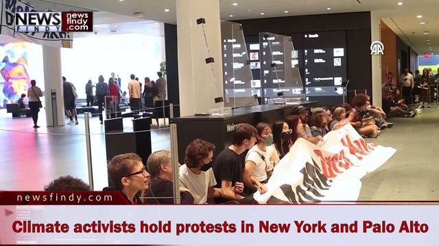 Climate activists hold protests in New York and Palo Alto