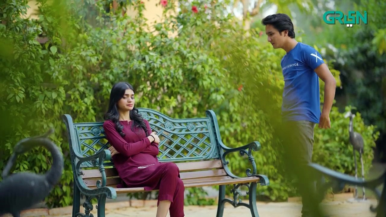 Apney Hee Tou Hain Ep 26 - Khalid Anam - Zohab Khan - Dramatic Affairs