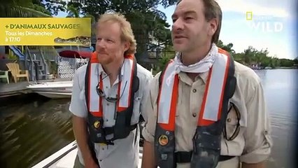 Un crocodile de trois mètres se promène dans un quartier résidentiel