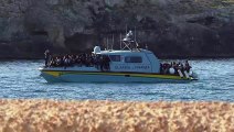 Lampedusa, i nuovi sbarchi del 16 settembre