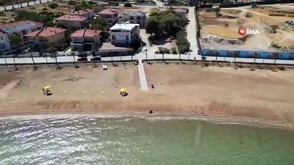 Denizanaları Foça'dan sonra Çeşme kıyılarında da panik oluşturdu