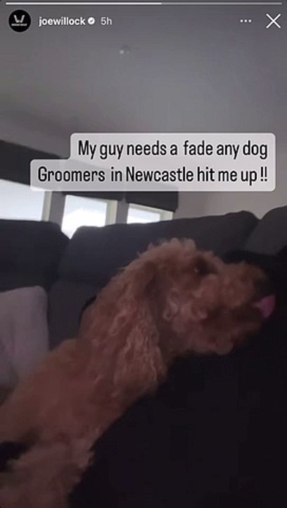 Joe Willock makes a social media request