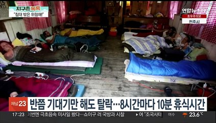 [지구촌톡톡] "그러다 소 될라" 최고의 게으름뱅이를 찾아라! 外