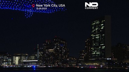 WATCH: Colourful nocturnal drone display brings the wildlife of the Amazon to Manhattan's skies