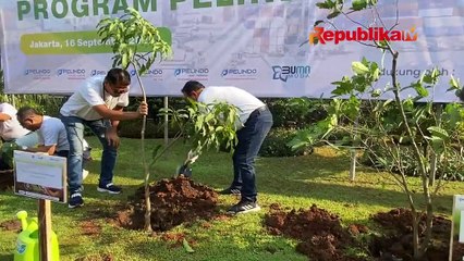 Upaya Mengurangi Polusi Udara dengan Aksi Menanam Pohon
