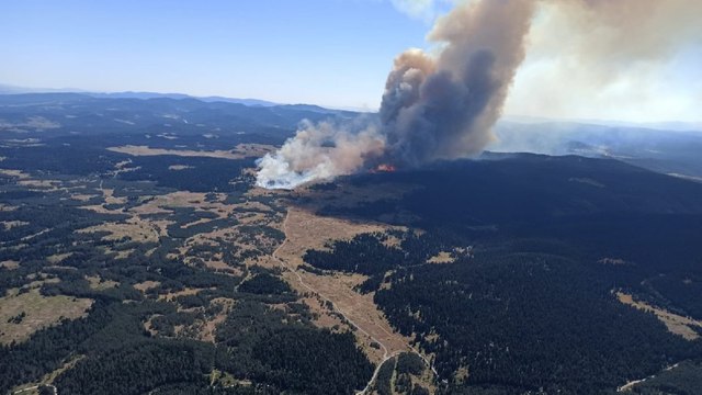 Bolu’da orman yangını Ekipler sevk edildi