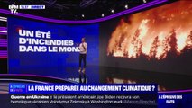 Climat: un été d'incendies dans le monde