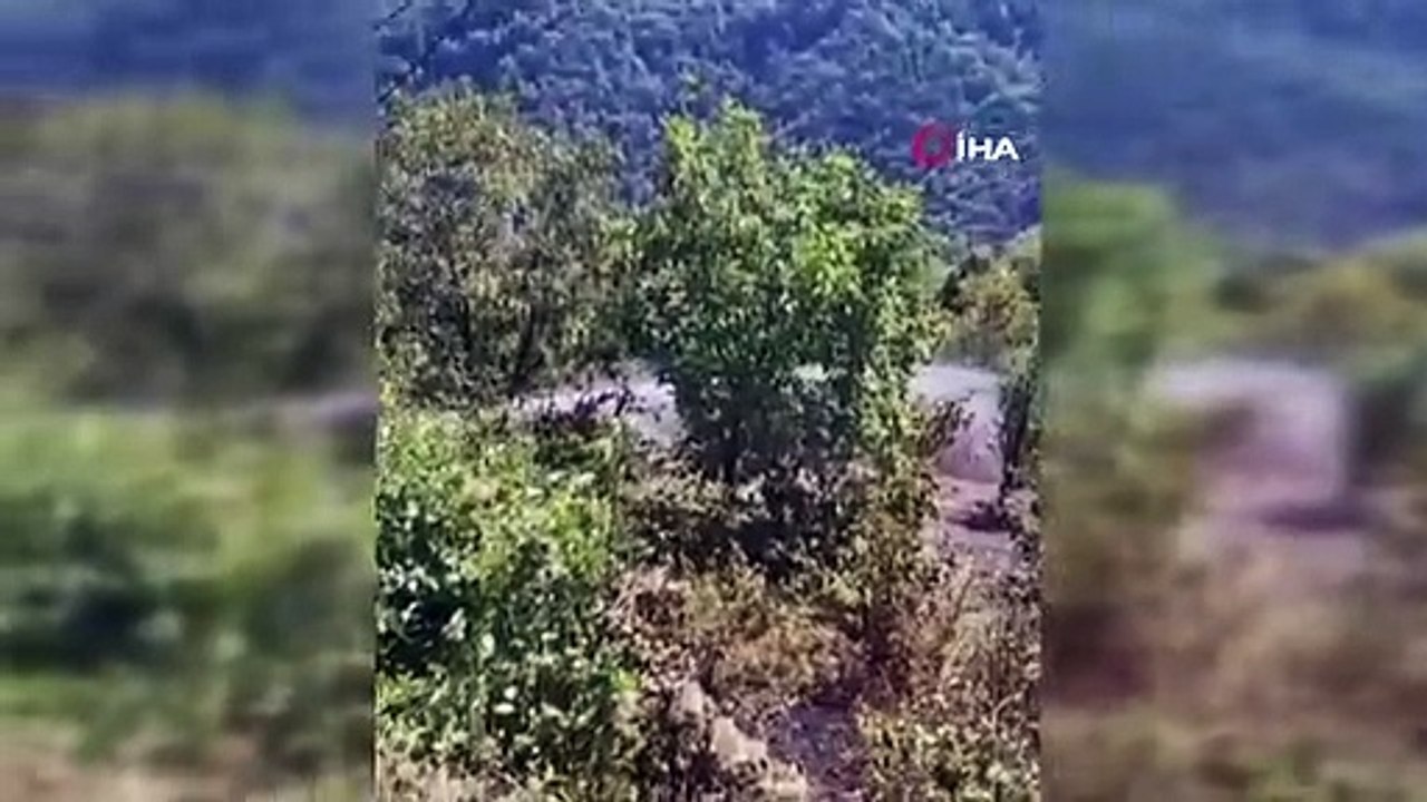 Kastamonu'da Anız Yangını Ormanlık Alana Sıçradı