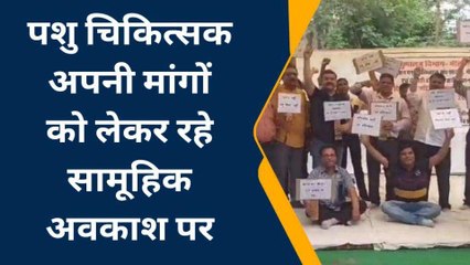 भीलवाड़ा: पशु चिकित्‍सकों ने हड़ताल कर किया प्रदर्शन, जानिए क्‍या है मांग