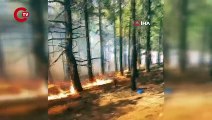 Adana'da orman yangını... Havadan ve karadan müdahale ediliyor