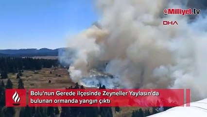 Bolu'da orman yangını
