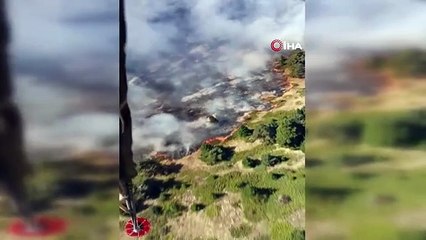 Bolu Gerede'de Ormanda Yangın Çıktı