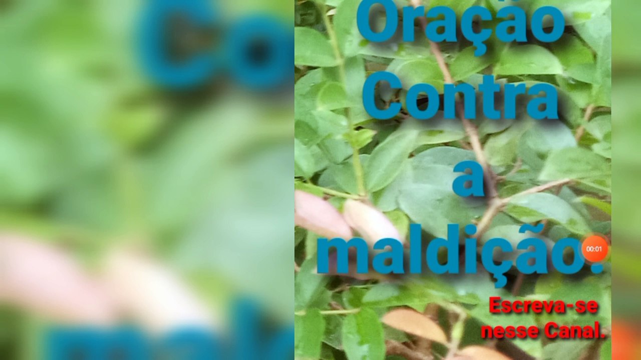 Oração Contra a maldição. Bênçãos de Deus.