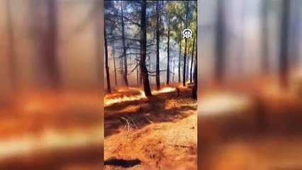 Kozan'da çıkan orman yangınına müdahale ediliyor