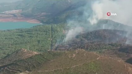Köyceğiz'de ormanlık alanda çıkan yangın büyümeden söndürüldü