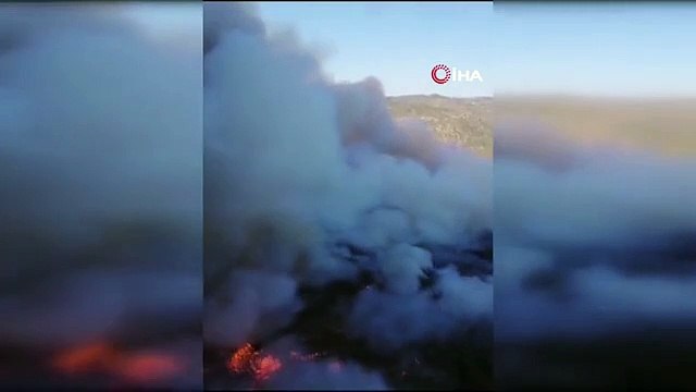 Ankara yangın SON DAKİKA! Ankara'da yangın nerede çıktı? Ankara yangın son durum ne?