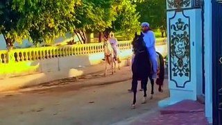 Mufti_Tariq_Masood_Horse_Ride_And_VIP_Protocol_❤️_#muftitariqmasood_#allah_#protocol_#tariqmasod