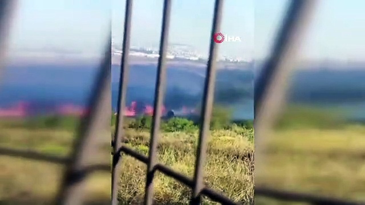 İstanbul Tuzla'da Ormanlık Alanda Yangın Çıktı