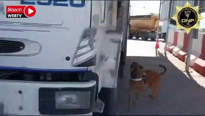 Ali Yerlikaya: Uyuşturucuyla mücadelemiz sürecek