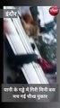 VIDEO में देखिए सुपर कॉरिडोर में बने गड्ढे में डूबी मिनी बस, मची चीख पुकार