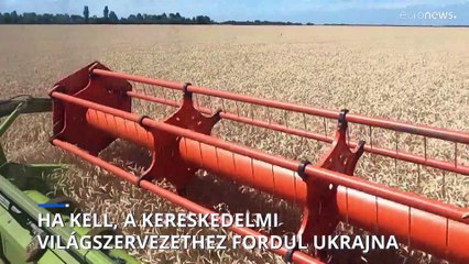 Ha kell, a Kereskedelmi Világszervezethez fordul Ukrajna