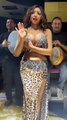 Belly Dance short move❤️