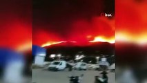 Cezayir'de Orman Yangınları Sürüyor