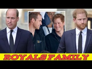 Prince William's tactful indication that he has "no intention of healing the rift with brother Harry