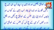 Paidaish Ki Kitab Bab 1، Ayat #1 to #31 Urdu Bible || The Holy Bible, Book of Genesis Chapter one,