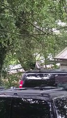 What Are You Doing Up There?