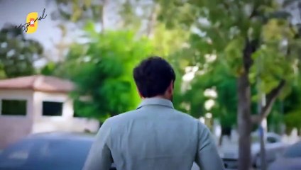 08. Herida del Corazon (Kalp Yarasi), en español