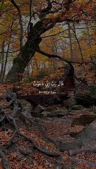 فقلت استغفروا ربكم انه كان غفارا - اجمل ايات سورة نوح بصوت القارئ ماهر المعي_HD