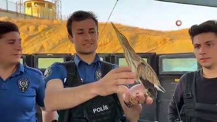 Polisten balaban kuşuna şefkat eli