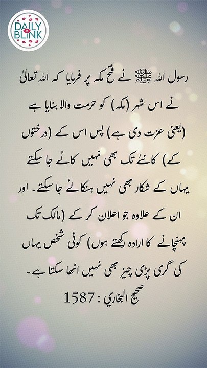 Daily Hadees | Hadees Sharif | Sahih Bukhari 1587 || Daily Blink #shorts #viral #sahihbukhari