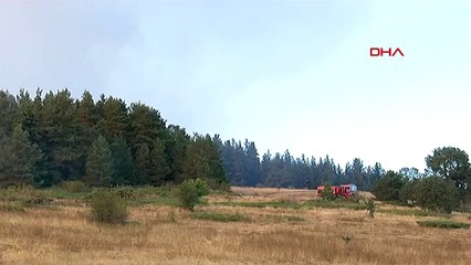 Bolu'da orman yangını devam ediyor