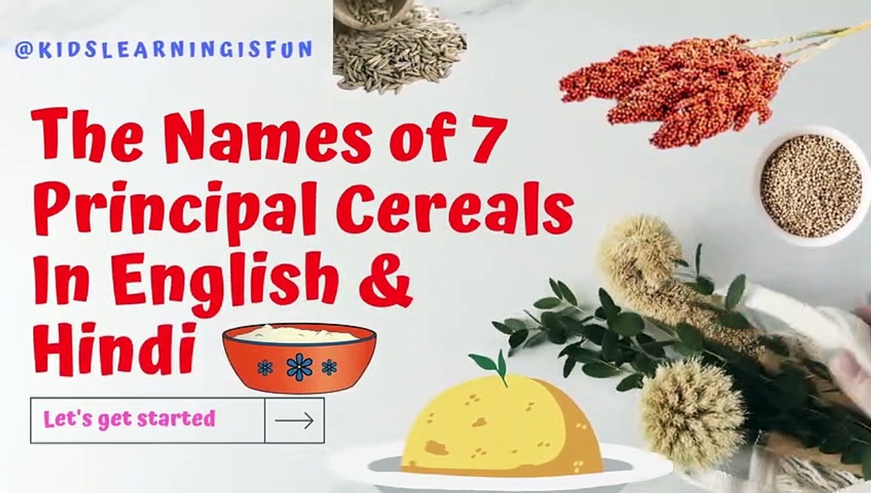 The names of 7 principal cereals_In english and hindi_cereal_cereal names_cereals for kids