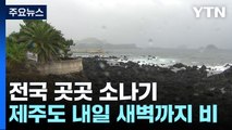 [날씨] 전국 곳곳 소나기...남해안·제주도 내일 새벽까지 비 / YTN