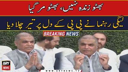 PML-N’s Hanif Abbasi launches tirade against PPP