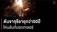 ต้นจาจุรีอายุกว่า50ปี โค่นล้มทับรถเทเลอร์โชคดีคนขับรอดตาย | HOTSHOT เดลินิวส์ 17/09/66