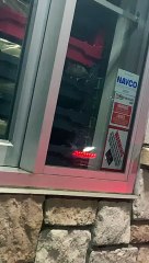 Rats at Whataburger Drive-Thru