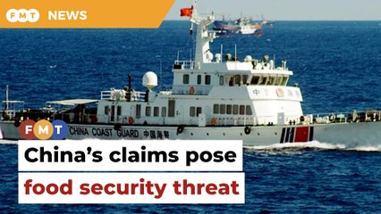China’s disputed maritime claims pose food security threat, say analysts