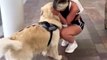 Woman shares soul-stirring moment with dog during their long-awaited reunion after a month