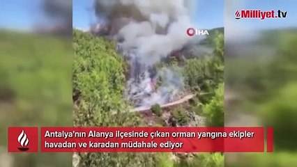 Antalya'da orman yangını! Ekipler müdahale ediyor