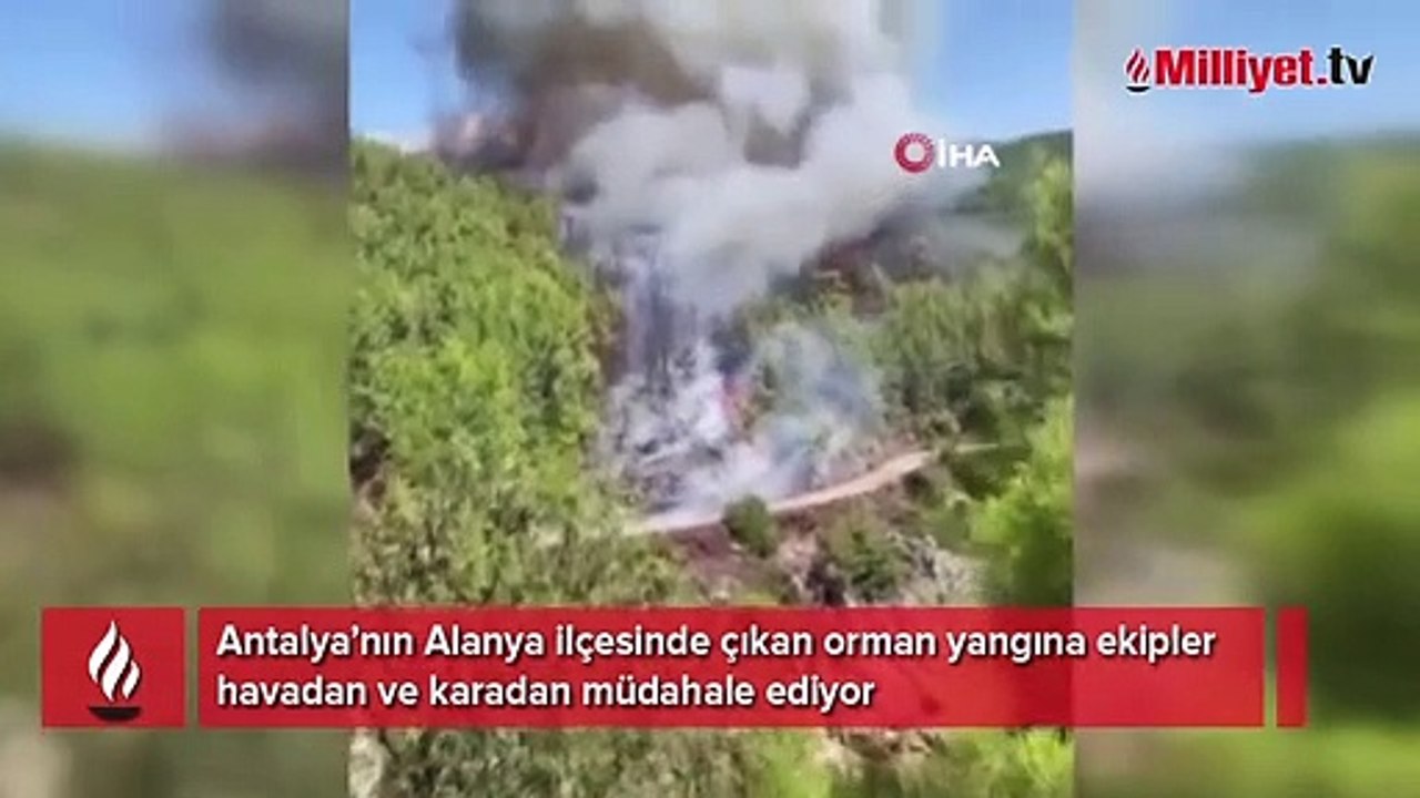 Antalya'da orman yangını! Ekipler müdahale ediyor